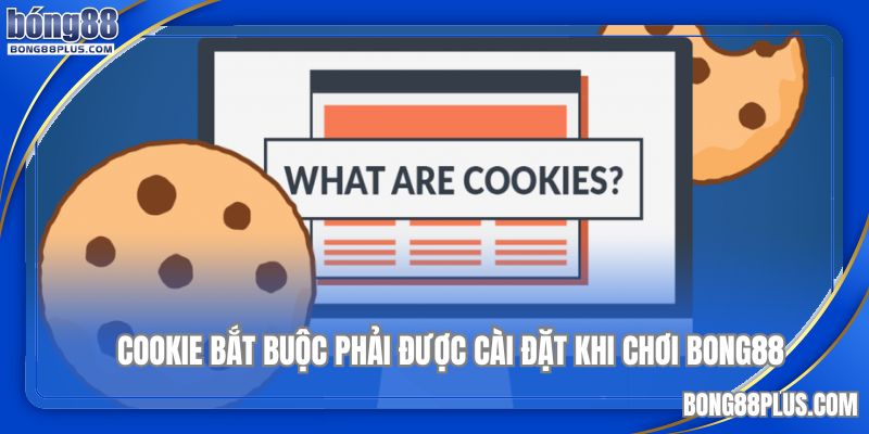 Chính sách Cookies bắt buộc phải cài tệp tin của trình duyệt